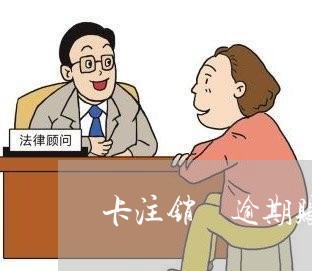 卡注销 逾期账户明细